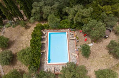 Campiglia Marittima Apartment | Villa I Tigli