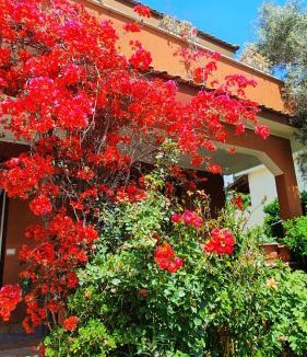 Zona XXXII Acilia Nord House | Villa il Glicine