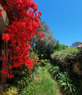 Zona XXXII Acilia Nord House | Villa il Glicine