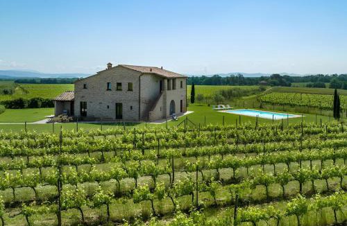 Ferretto Villa | Villa Le Vigne, 8 pax, private pool, Top Comfort