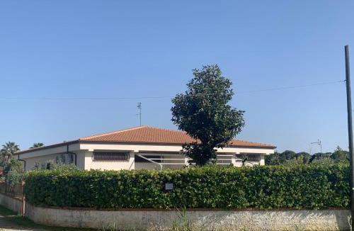 Rio Claro Villa | Villa LINA