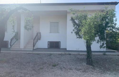 Rio Claro Villa | Villa LINA