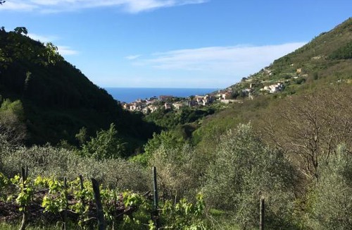 Scala House | Villa Maddalena