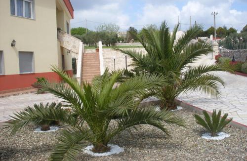 Martina Franca House | Villa Mafalda