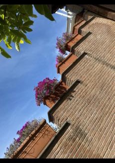 Nettuno House | VILLA MARIPOSA