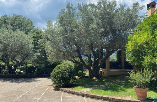 Lake Bracciano House | Villa Pupí Green Retreat