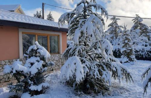 Pontone House | Villa Russo