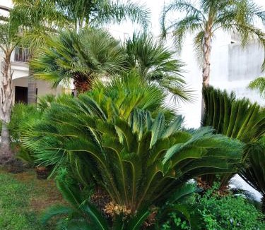 Lecce Apartment | Villa Silvana