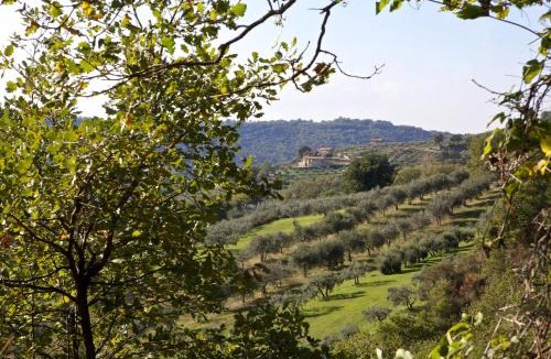 Gualdo Cattaneo Villa | Villa Tilla