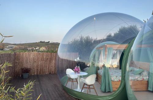 Filiano Bed & Breakfast | Villa Ulivi