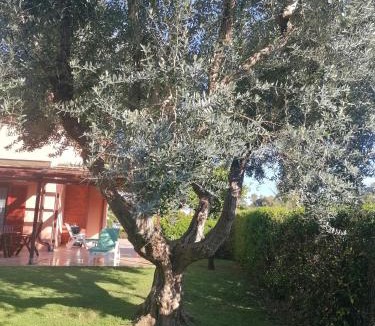 Palidoro Villa | Villa vicino al mare