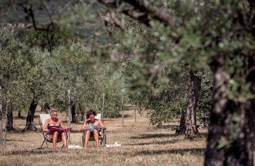 Assisi Villa | Villa with pool surrounded by an olive grove