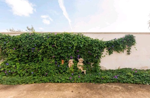 Leverano Apartment | Villetta bifamiliare con piscina