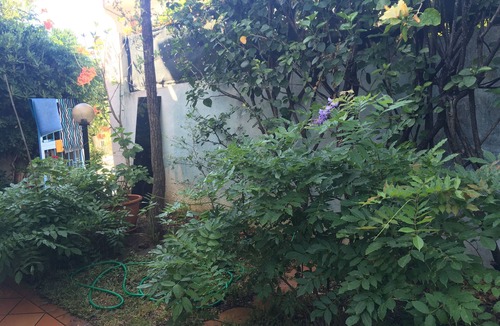 Calalunga-Pietragrande Villa | Villetta con Giardino