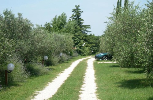 Santa Maria degli Angeli Bed & Breakfast | Vista Assisi