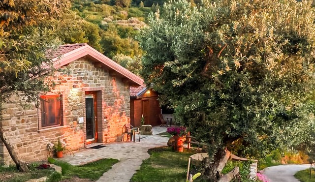1 bedroom nice home in Laureana Cilento