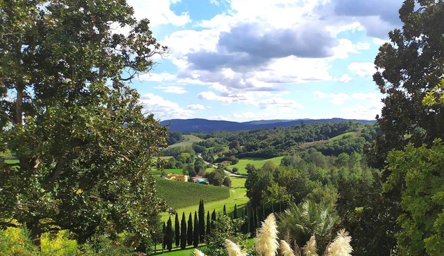 100% Authentic Tuscany: A Great Villa in the Countryside for Families and Groups in Toscana