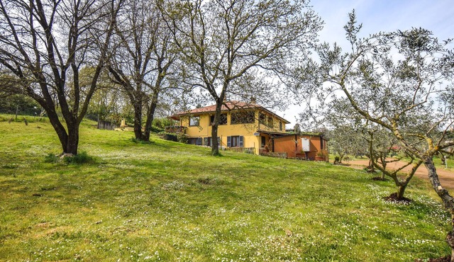 2 bedroom amazing apartment in Monterosi