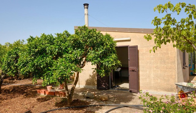 2 bedroom pet friendly home in Comiso