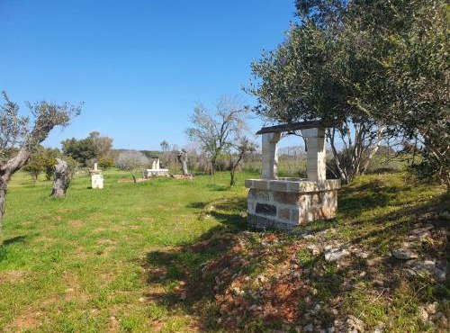 Agricampeggio Tenuta Ferrario