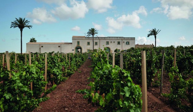 Agriturismo Baglio Donnafranca Wine Resort