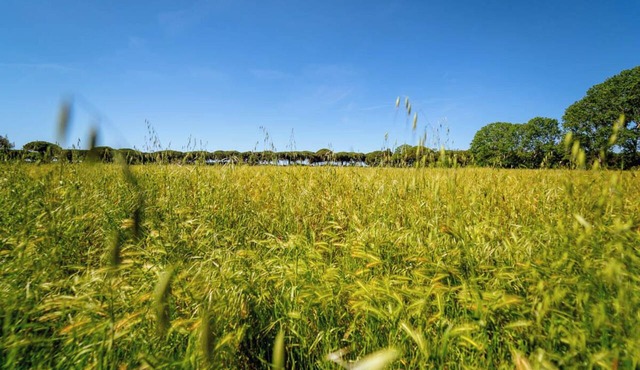 Agriturismo Bio Femminella