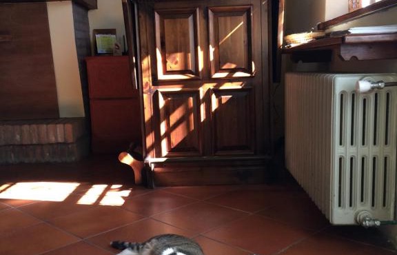 Agriturismo Il Pettirosso