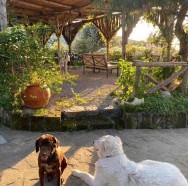 Agriturismo L'Olivara
