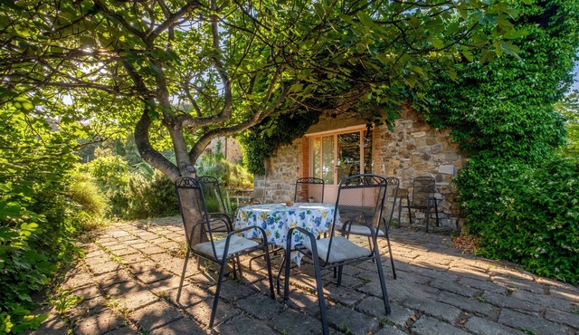 Agriturismo 'Stella Sud Podere Carbone' with Terrace & Wi-Fi