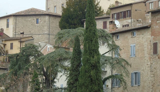 Angela's House on the Ancient Walls of Todi for 2/4 people