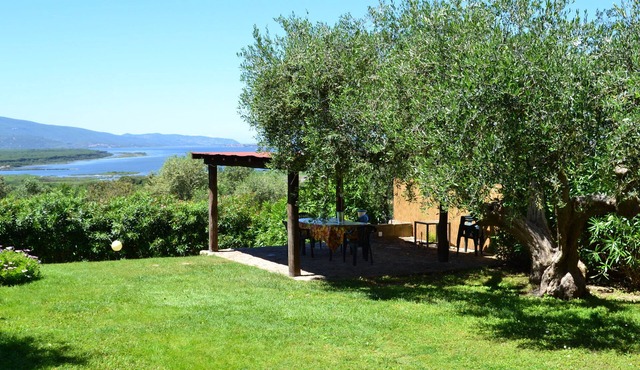 ANSEDONIA SEA VIEW- 1 KM FROM BEACH, BIG FENCED GARDEN CUSTODY