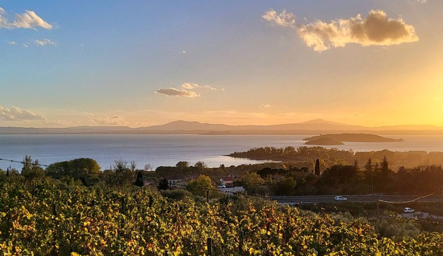 Apartment for 4/5 Persons, Amazing View on Trasimeno Lake