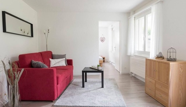 Apartment Ciel in Frutigen