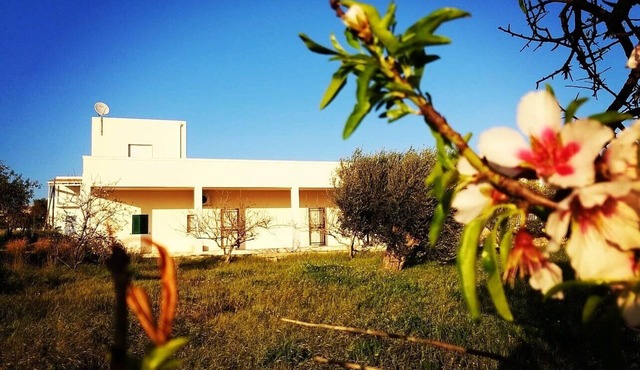 Beautiful Villa in Sicily facing the sea of Cava d'Aliga