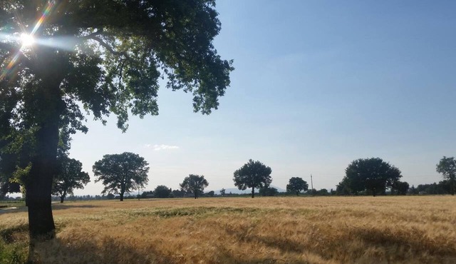 Bed and Breakfast Le Rose