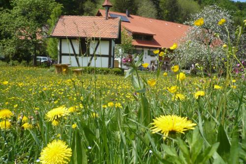 Biohof Schad in Eisenbach