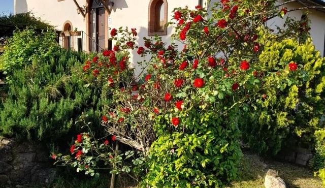 Borgo de' Muracci