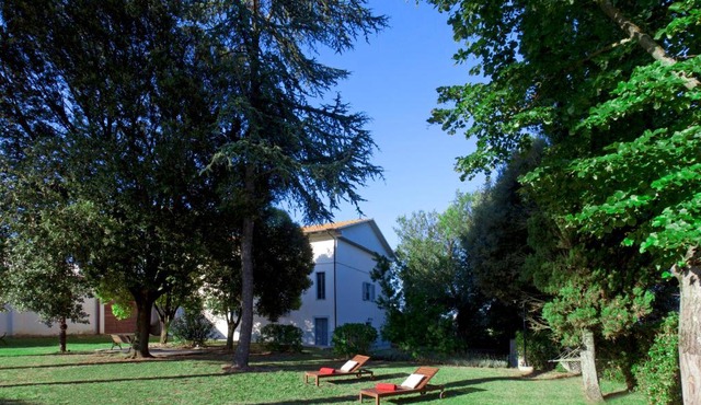 Borgo Iris - Wine Farm near Cortona
