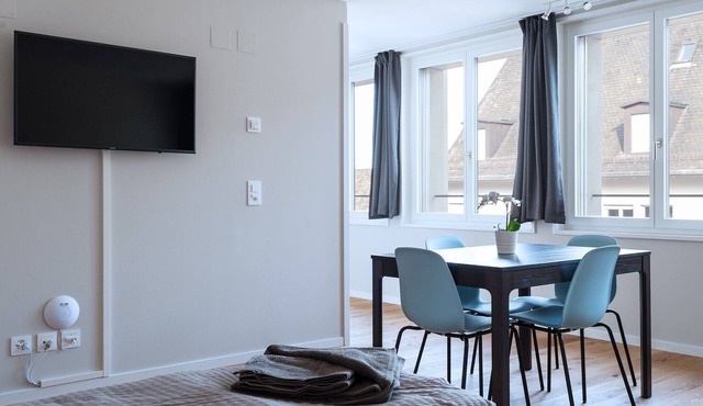 BS Van Gogh III - Marktplatz HITrental Apartment in Basel