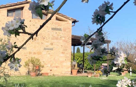 Capannino in Siena