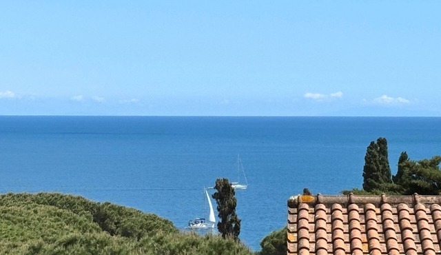 Capo d'Arco - Capo d'Arco - Agrumeto
