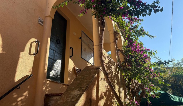 Casa Bouganvillea will welcome you right in the heart of the historic center, just a stone's throw from the sea