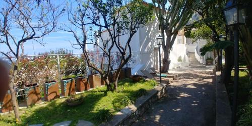 Casa Gaia in Capri