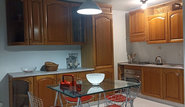 CASAEMILY train Fiumicino Airport-VillaBonelli- StazioneOstiense EUR-Trastevere