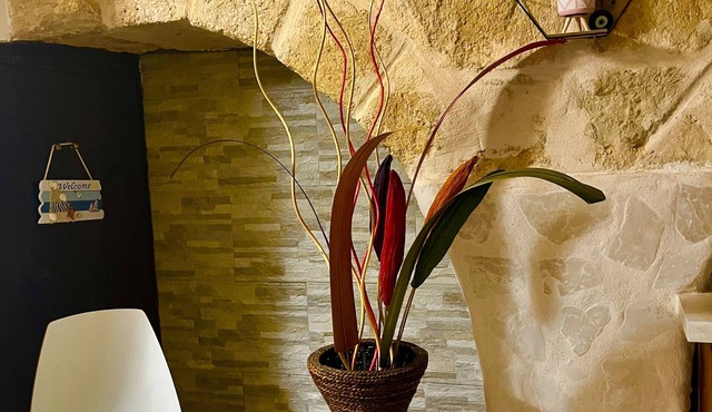 Cattleya apartment. Mola di bari
