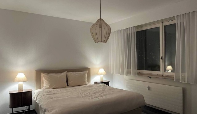 Central Apartment Basel SBB, City Center, Airport Nearby in Basel