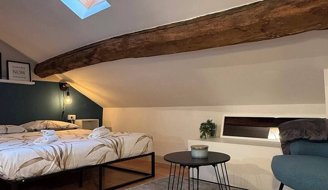 CENTRAL ROMANTIC APARTMENT IN PARMA WITH ELEVATOR in Parma