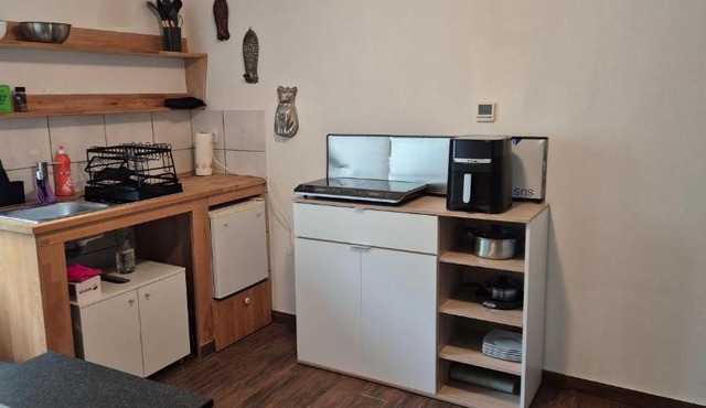 Charming self-contained apartment in Glarnerland in Mitlödi