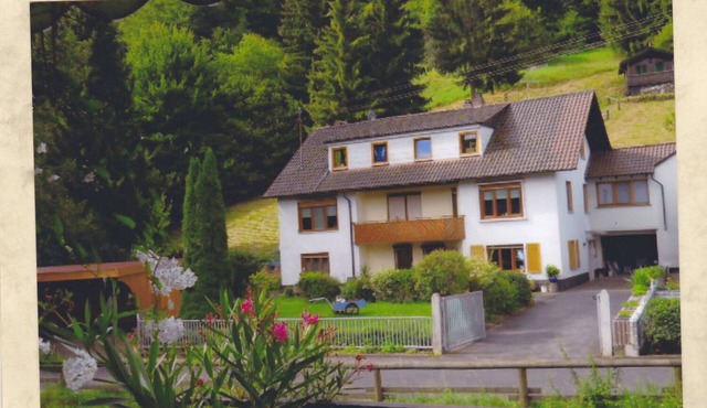 Comfortable apartment Steger on the ground floor in Frammersbach