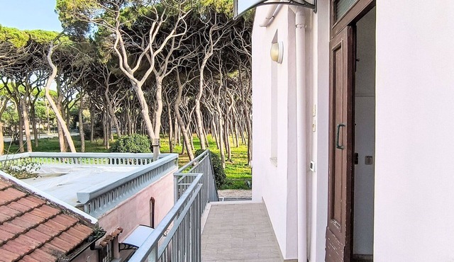 Cosy apartment for 6 guests with WIFI, TV, terrace and pets allowed